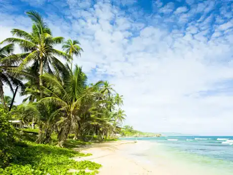 Barbados