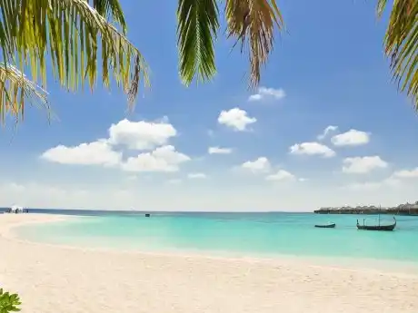 Grenada Spice