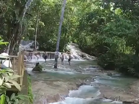 Jamaica