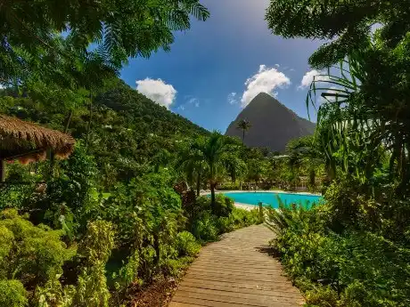 Saint Lucian