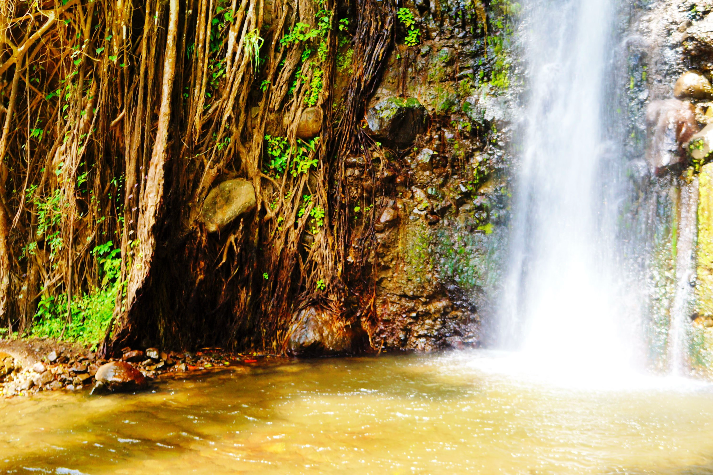 Dark View Falls