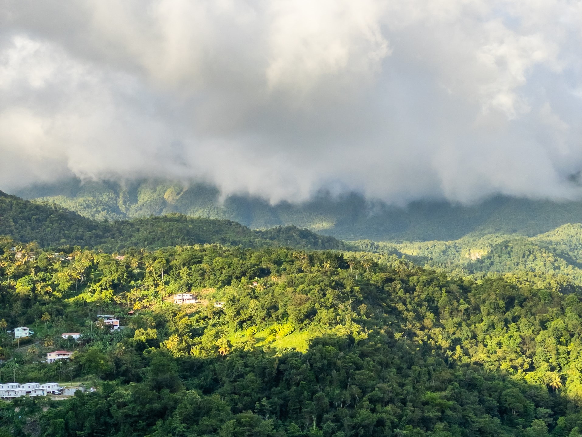 Calibishie – Nature and Nature Times Ten 