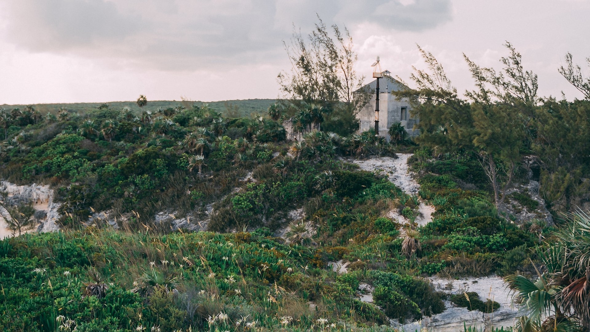 Gregory Town – Pure Bahamian Culture in One Place