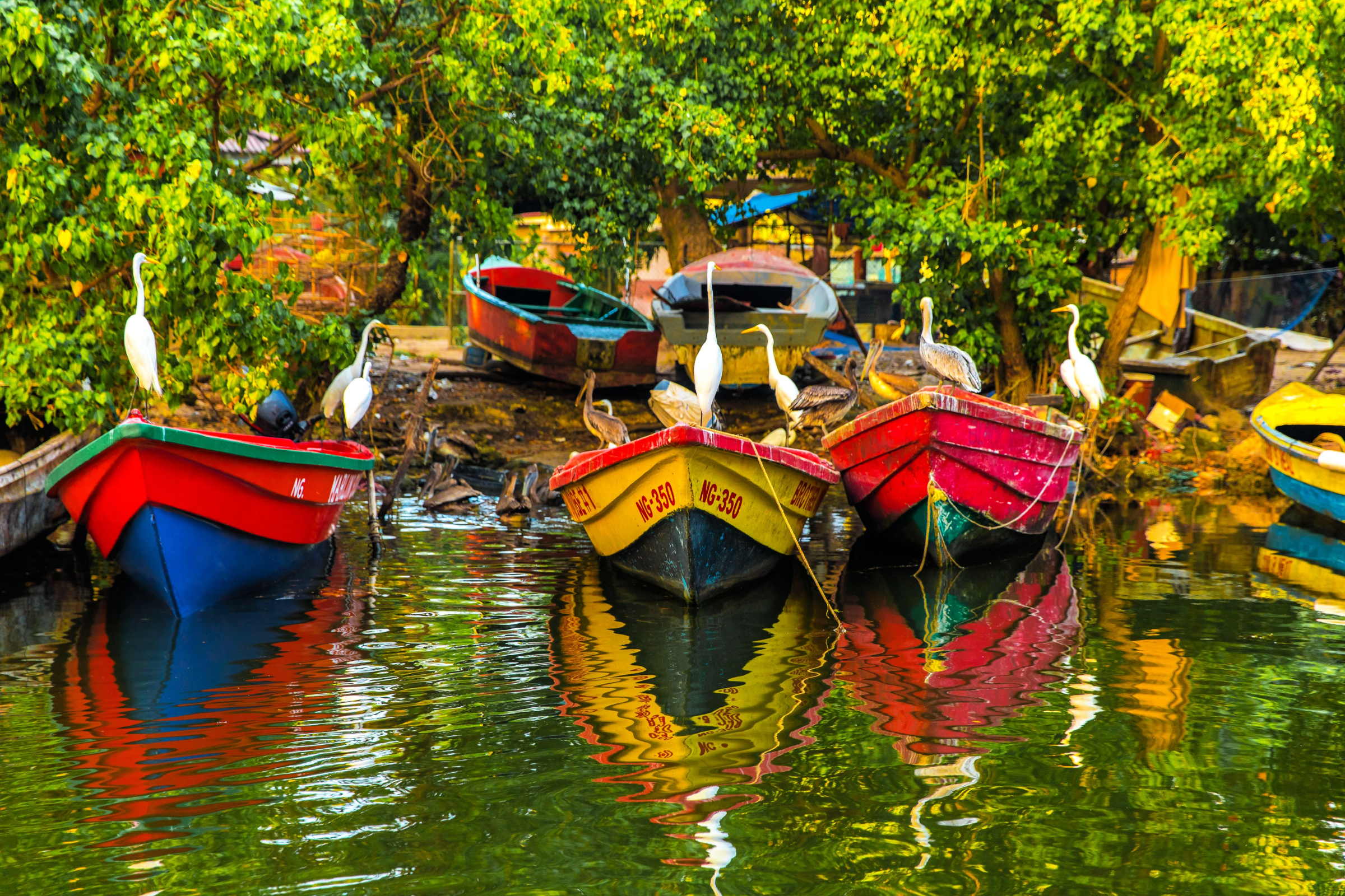 Negril – Epitomising Island Life 