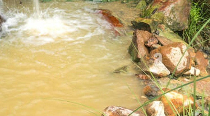	Other Things to See in Dominica