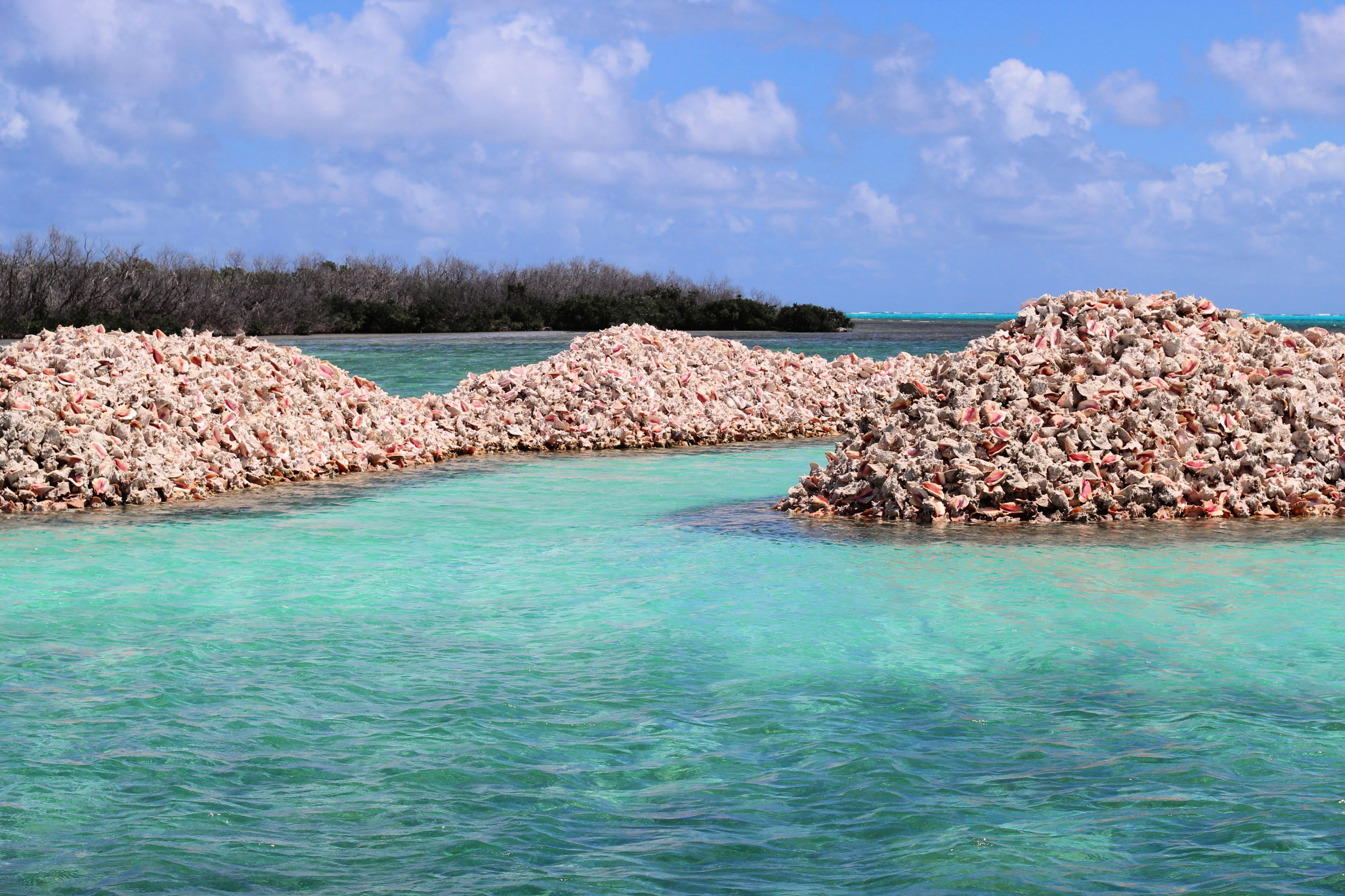 Go on a Sailing Cruise to Anegada Island 