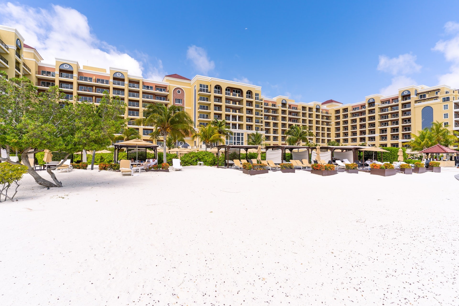 Noord – Quintessential Island Holiday Flair 