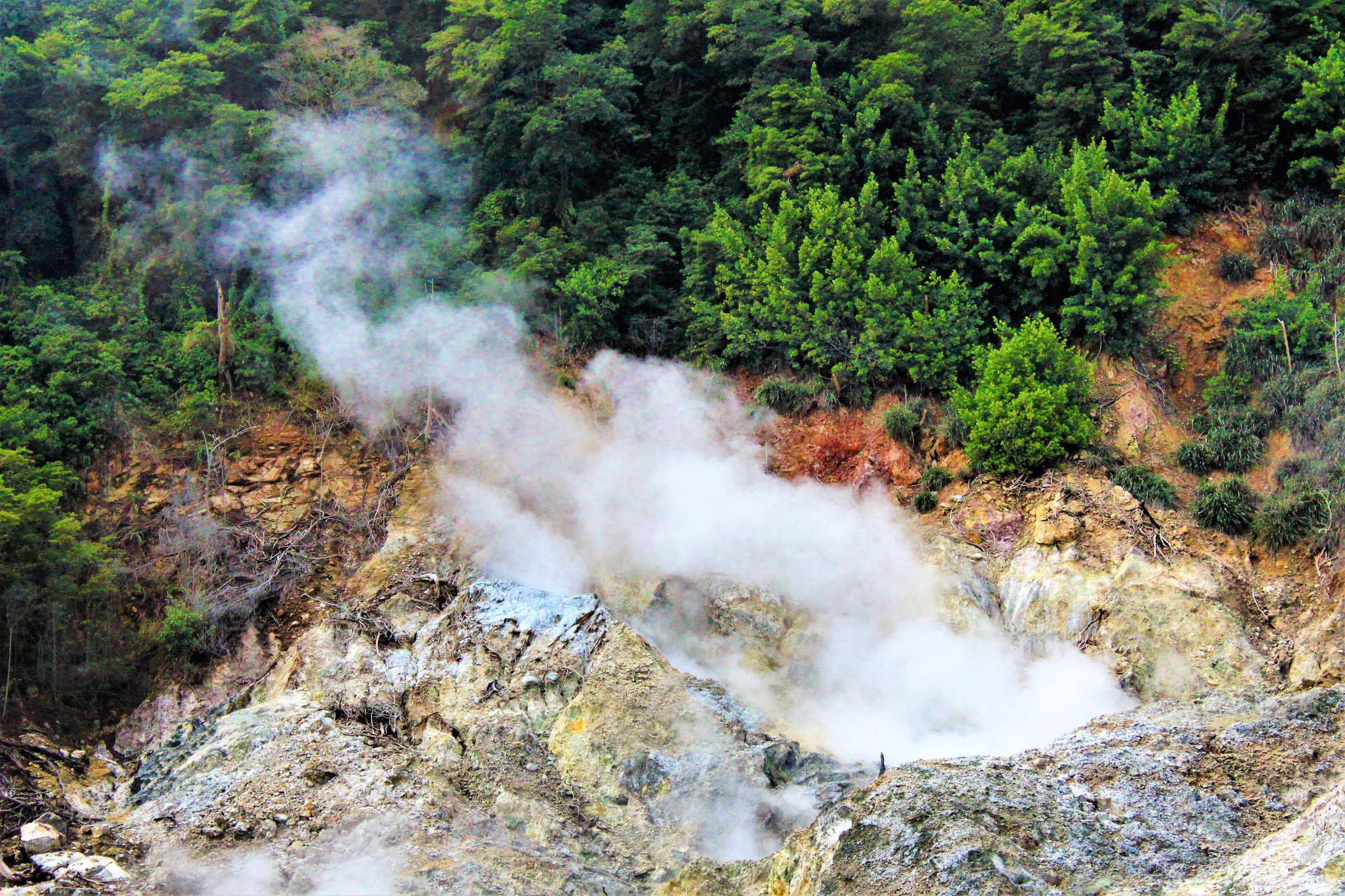 Visit the Sulphur Springs 