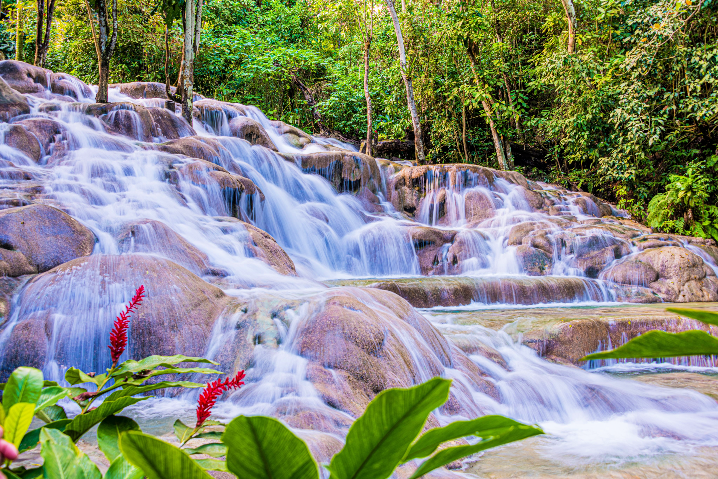 Dunns River Falls
