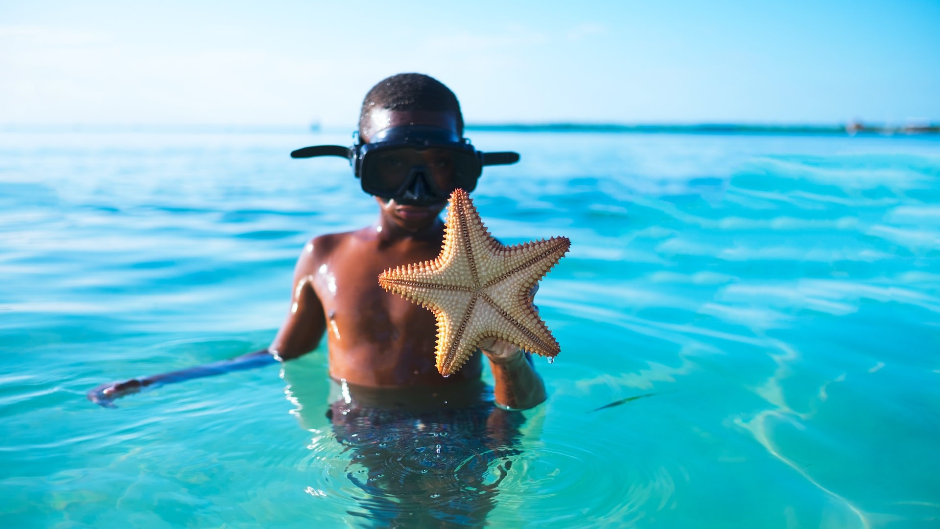 The Magnificent Marine Life and Aquatic Cosmos 