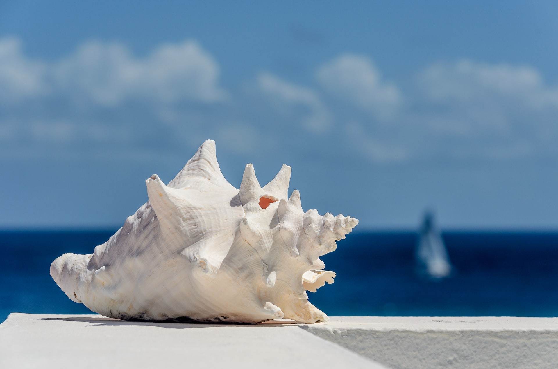 Prickly Pear Cays – Picturesque and Scenic Spot 