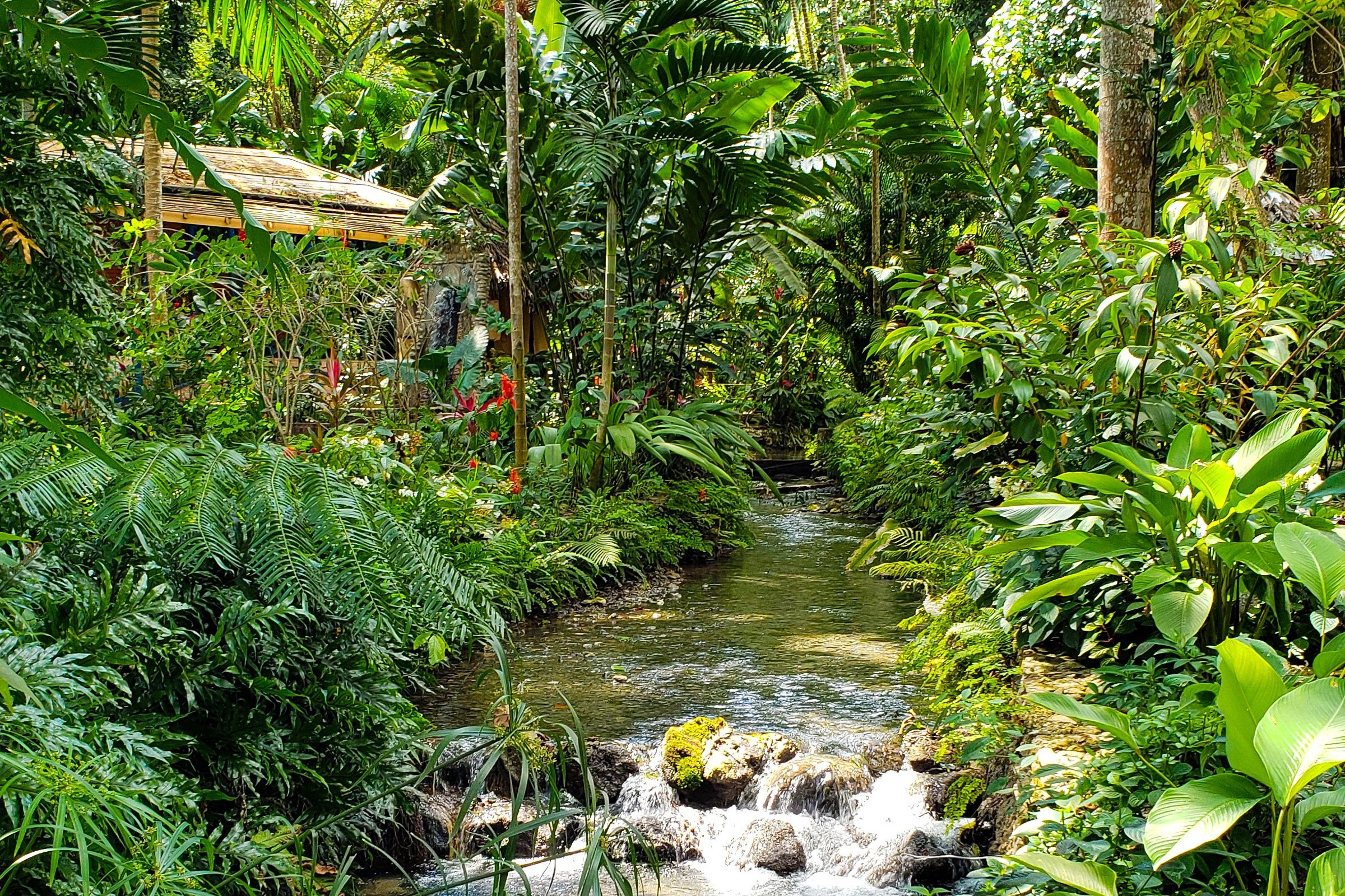 Konoko Falls – An all-in-one Attraction
