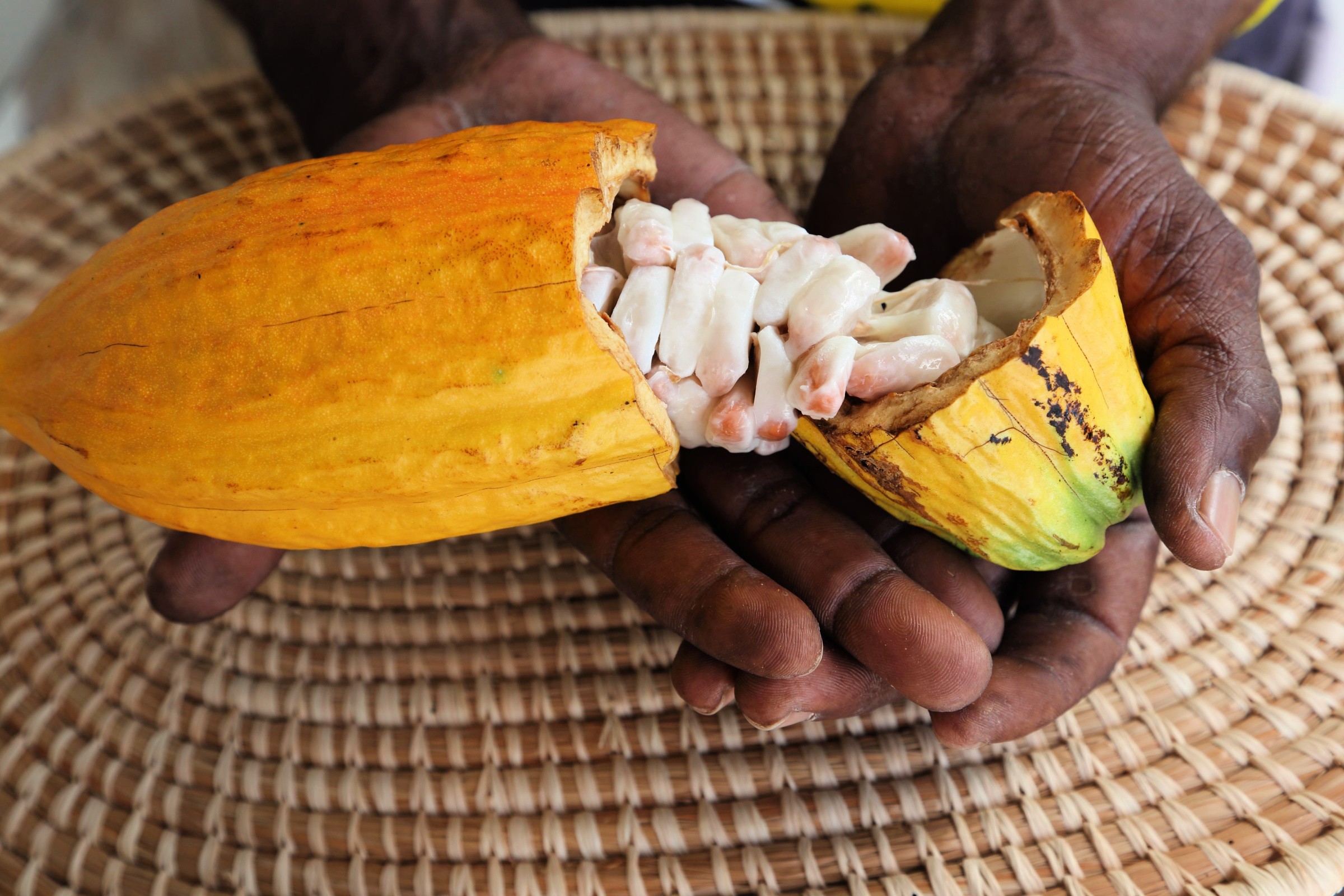 Palate-Pleasing Grenadian Snacks