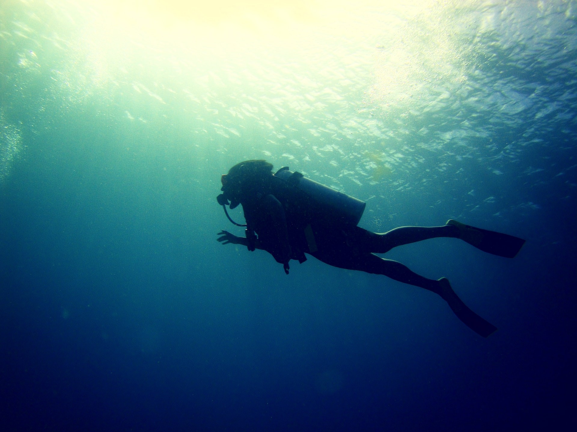 Scuba Dive the Cane Bay Wall