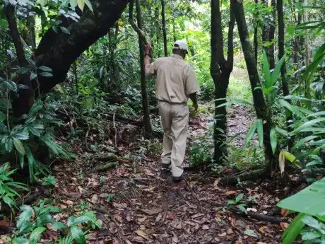 Dominica