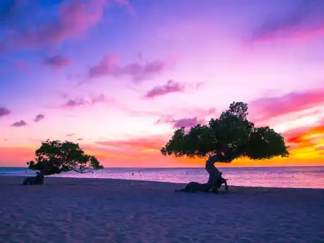 Saint Vincent and the Grenadines